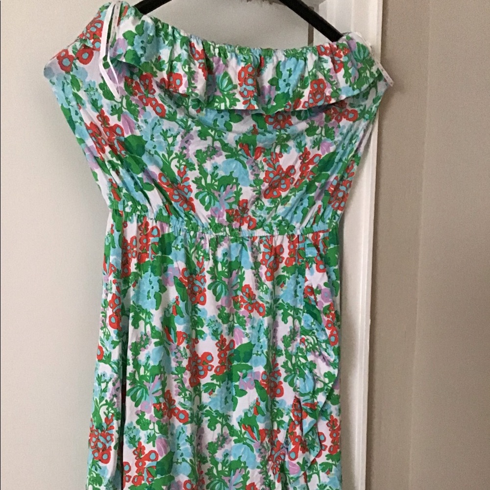 Lilly Pulitzer Flor Dress Large